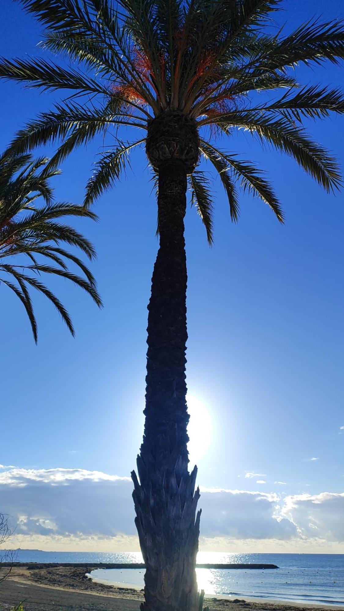 Apartamento Caravaca Santa Pola Eksteriør bilde